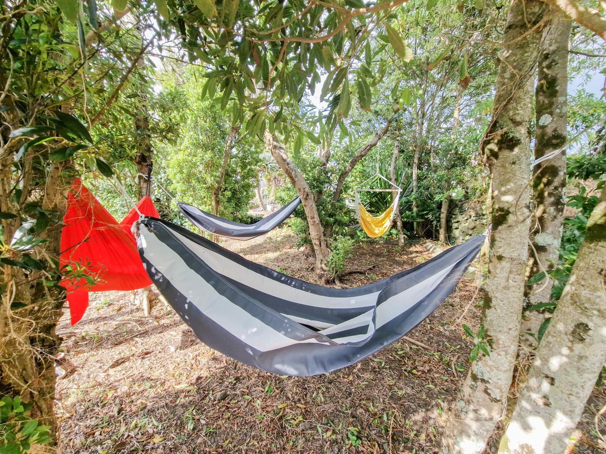Loving Strangers Hostel Madalena  Εξωτερικό φωτογραφία