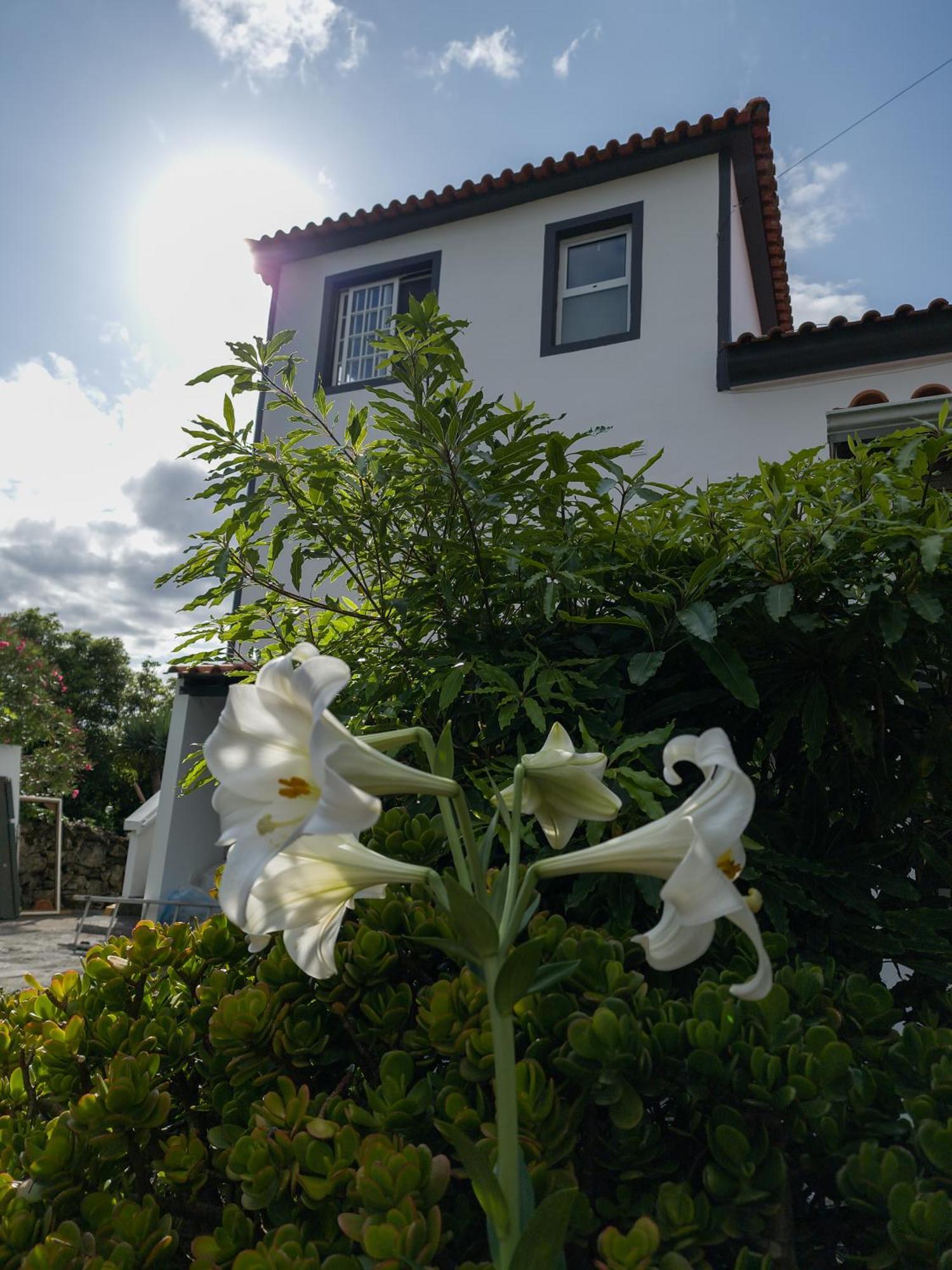 Loving Strangers Hostel Madalena  Εξωτερικό φωτογραφία