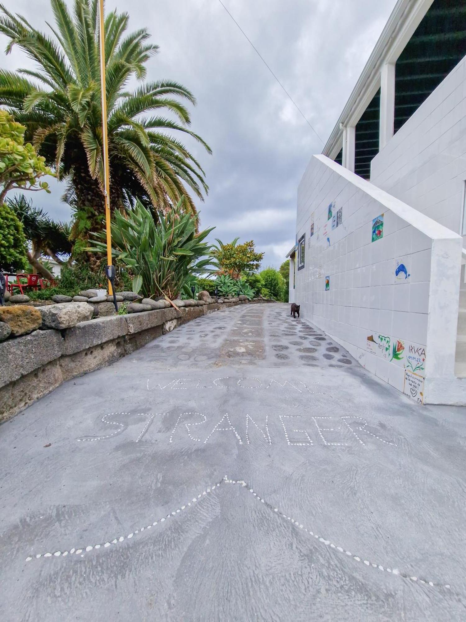 Loving Strangers Hostel Madalena  Εξωτερικό φωτογραφία